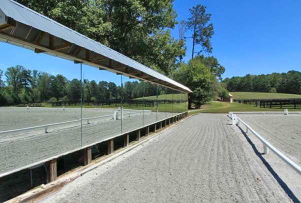 Dressage Arena Mirrors